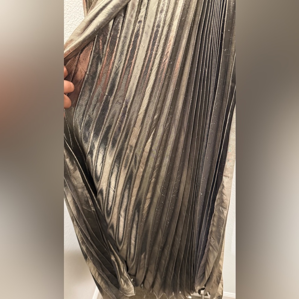 Maria Lucia Hohen Glamorous Metallic Maxi Dress - Picture 4 of 9